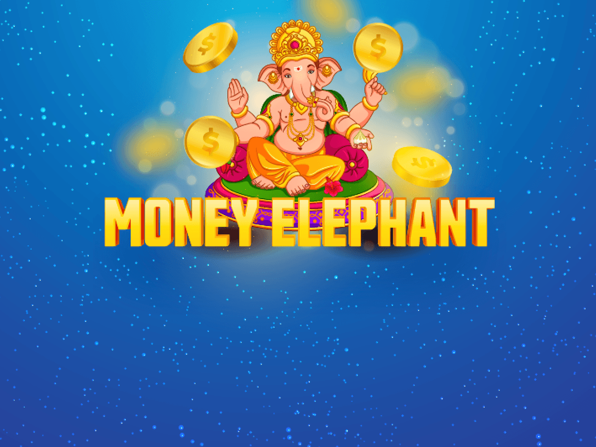 Mesa de Casino en Vivo screenshot